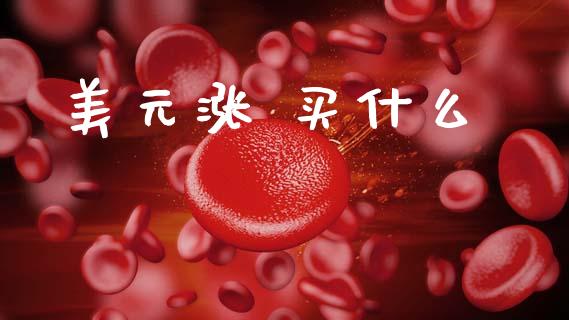 美元涨 买什么_https://wap.78312.cn_财经新闻_第1张
