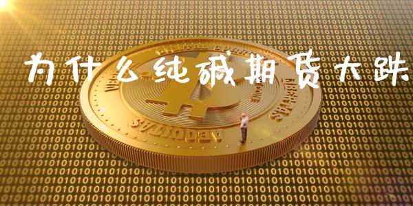 为什么纯碱期货大跌_https://wap.78312.cn_外汇交易_第1张