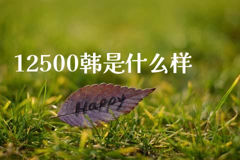 12500韩是什么样_https://wap.78312.cn_全球市场_第1张