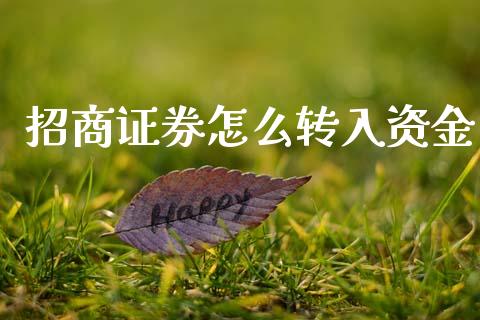 招商证券怎么转入资金_https://wap.78312.cn_财经新闻_第1张