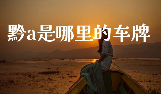 黔a是哪里的车牌_https://wap.78312.cn_全球市场_第1张