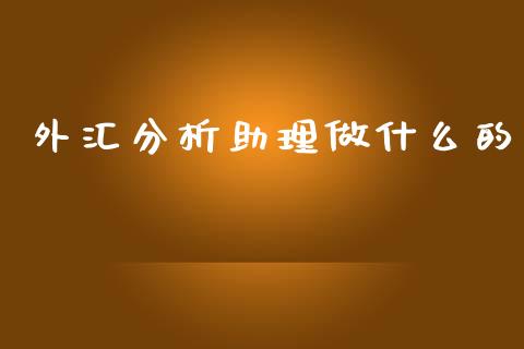 外汇分析助理做什么的_https://wap.78312.cn_财经新闻_第1张