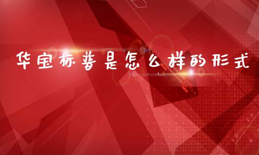 华宝标普是怎么样的形式_https://wap.78312.cn_金融监管_第1张