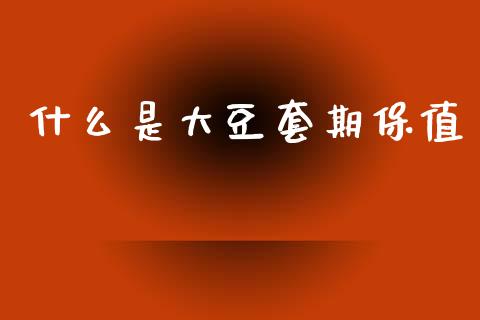 什么是大豆套期保值_https://wap.78312.cn_财经新闻_第1张