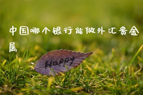 中国哪个银行能做外汇贵金属_https://wap.78312.cn_金融监管_第1张