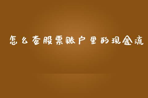 怎么查股票账户里的现金流_https://wap.78312.cn_金融监管_第1张