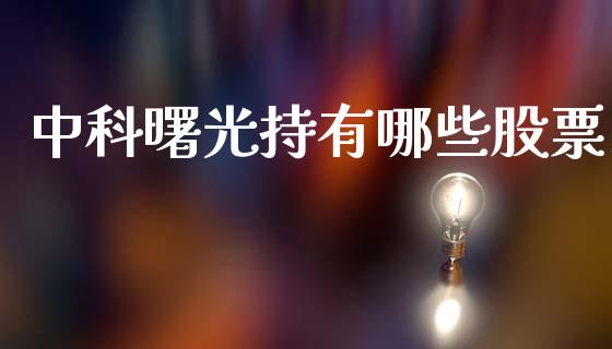 中科曙光持有哪些股票_https://wap.78312.cn_金融监管_第1张