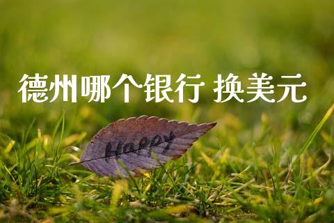 德州哪个银行 换美元_https://wap.78312.cn_金融监管_第1张