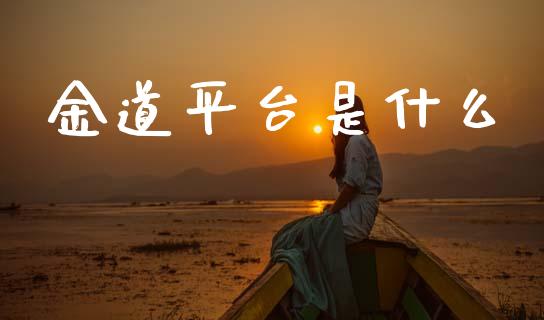 金道平台是什么_https://wap.78312.cn_全球市场_第1张