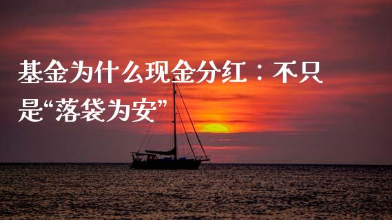 基金为什么现金分红：不只是“落袋为安”_https://wap.78312.cn_外汇交易_第1张