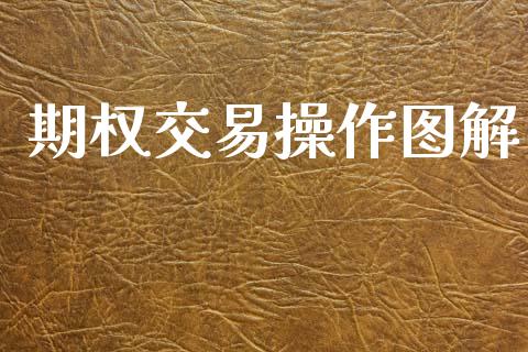 期权交易操作图解_https://wap.78312.cn_外汇交易_第1张