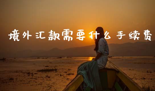 境外汇款需要什么手续费_https://wap.78312.cn_财经新闻_第1张