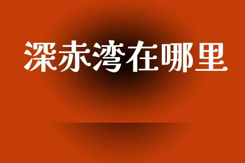 深赤湾在哪里_https://wap.78312.cn_外汇交易_第1张