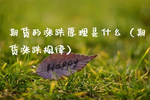 期货的涨跌原理是什么（期货涨跌规律）_https://wap.78312.cn_期货开户_第1张