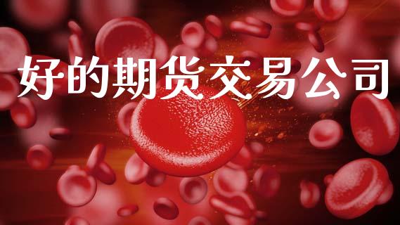 好的期货交易公司_https://wap.78312.cn_金融监管_第1张