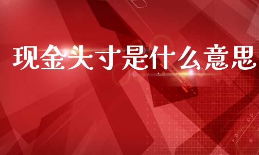 现金头寸是什么意思_https://wap.78312.cn_全球市场_第1张