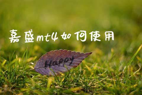 嘉盛mt4如何使用_https://wap.78312.cn_金融监管_第1张