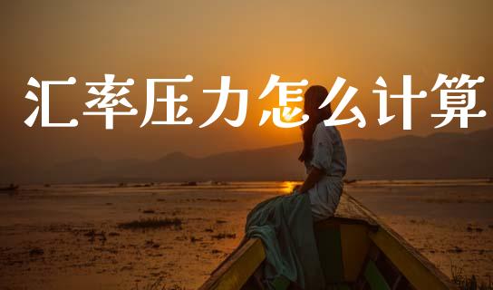 汇率压力怎么计算_https://wap.78312.cn_期货开户_第1张
