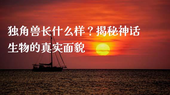 独角兽长什么样？揭秘神话生物的真实面貌_https://wap.78312.cn_金融监管_第1张