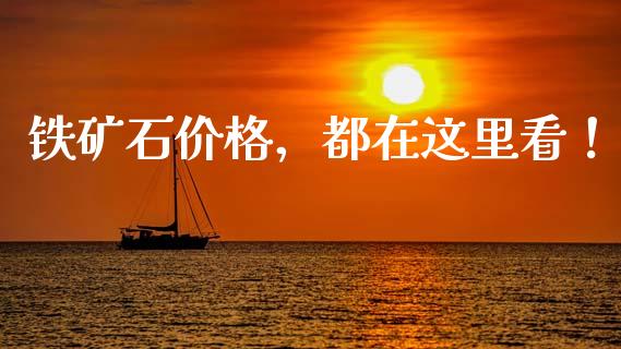 铁矿石价格，都在这里看！_https://wap.78312.cn_金融监管_第1张