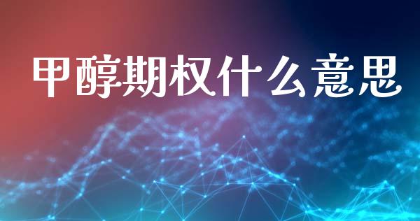 甲醇期权什么意思_https://wap.78312.cn_金融监管_第1张