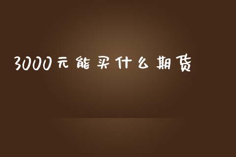 3000元能买什么期货_外汇交易_第1张_期货开户_金融监管_外汇交易_债券资讯_全球市场_财经新闻 3000元能买什么期货_https://wap.78312.cn_外汇交易_第1张