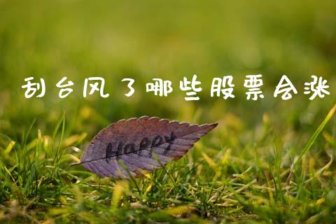 刮台风了哪些股票会涨_https://wap.78312.cn_债券资讯_第1张
