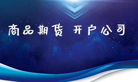 商品期货 开户公司_https://wap.78312.cn_金融监管_第1张