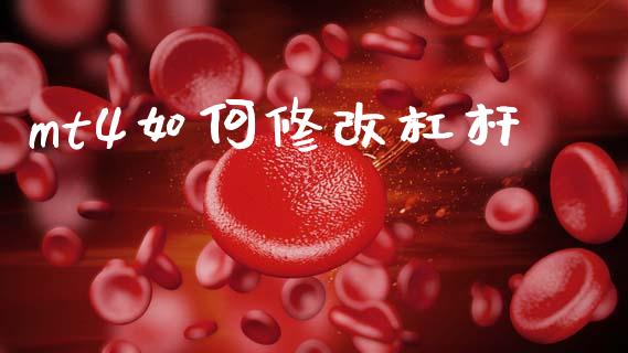 mt4如何修改杠杆_https://wap.78312.cn_期货开户_第1张