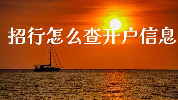 招行怎么查开户信息_https://wap.78312.cn_期货开户_第1张