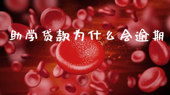 助学贷款为什么会逾期_https://wap.78312.cn_财经新闻_第1张
