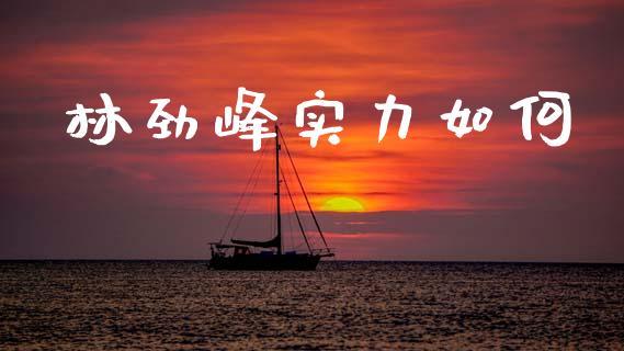 林劲峰实力如何_https://wap.78312.cn_金融监管_第1张