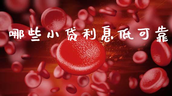 哪些小贷利息低可靠_https://wap.78312.cn_财经新闻_第1张