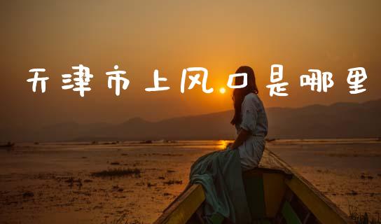天津市上风口是哪里_https://wap.78312.cn_债券资讯_第1张