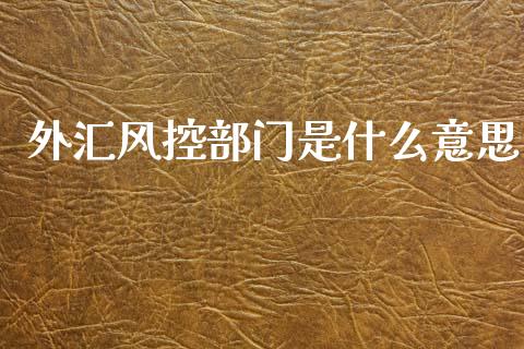外汇风控部门是什么意思_https://wap.78312.cn_财经新闻_第1张