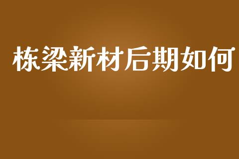 栋梁新材后期如何_https://wap.78312.cn_金融监管_第1张