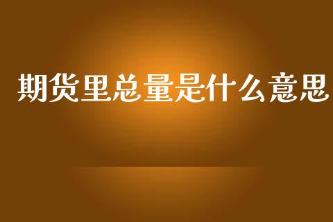 期货里总量是什么意思_https://wap.78312.cn_债券资讯_第1张