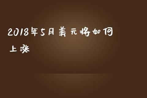 2018年5月美元将如何上涨_https://wap.78312.cn_期货开户_第1张