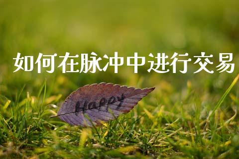 如何在脉冲中进行交易_https://wap.78312.cn_期货开户_第1张