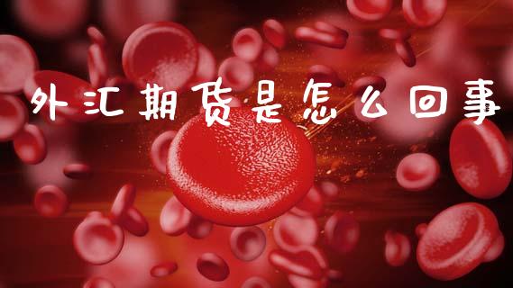 外汇期货是怎么回事_https://wap.78312.cn_债券资讯_第1张