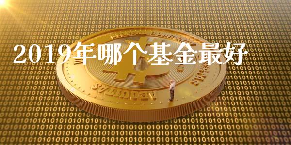 2019年哪个基金最好_https://wap.78312.cn_外汇交易_第1张