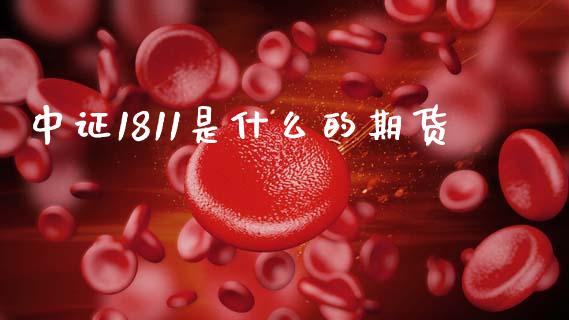 中证1811是什么的期货_https://wap.78312.cn_期货开户_第1张
