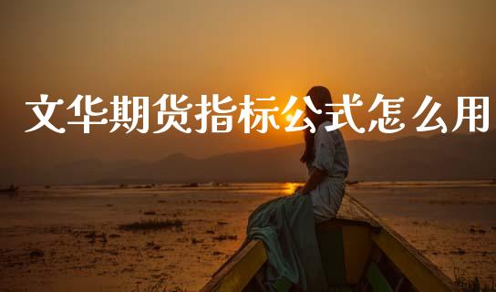 文华期货指标公式怎么用_https://wap.78312.cn_债券资讯_第1张