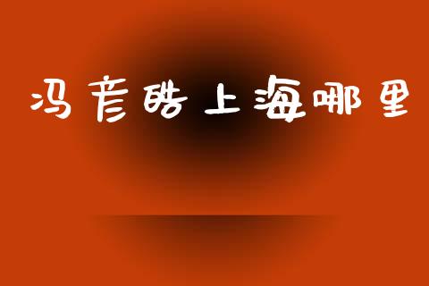 冯彦皓上海哪里_https://wap.78312.cn_债券资讯_第1张