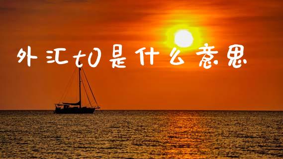 外汇t0是什么意思_https://wap.78312.cn_债券资讯_第1张