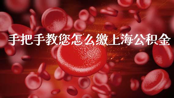 手把手教您怎么缴上海公积金_https://wap.78312.cn_期货开户_第1张