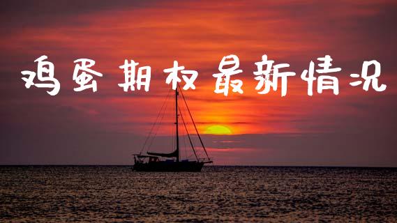 鸡蛋期权最新情况_https://wap.78312.cn_债券资讯_第1张