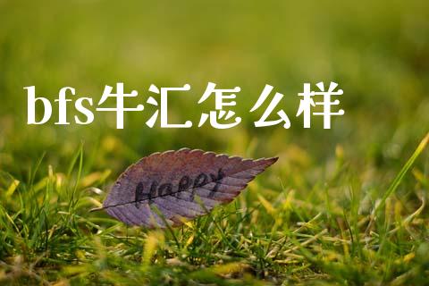 bfs牛汇怎么样_https://wap.78312.cn_财经新闻_第1张