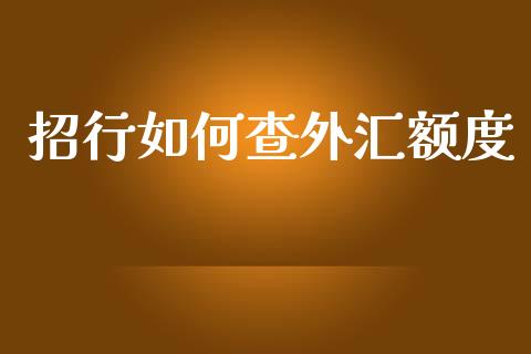 招行如何查外汇额度_https://wap.78312.cn_债券资讯_第1张