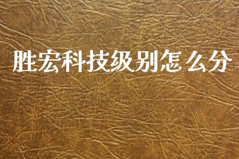 胜宏科技级别怎么分_https://wap.78312.cn_金融监管_第1张